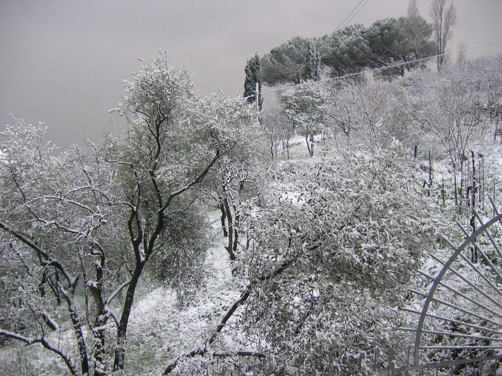 B&B Mare e Monti La Spezia Cameră foto